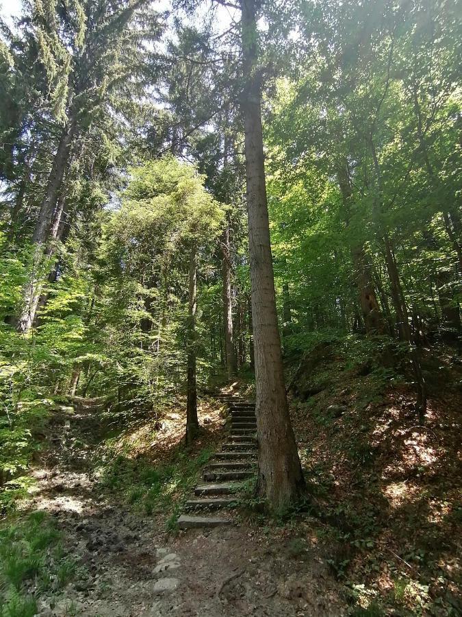 Petkovi Аpartments, Borovets Gardens - One-Bedroom And Two-Bedroom Apartments Εξωτερικό φωτογραφία