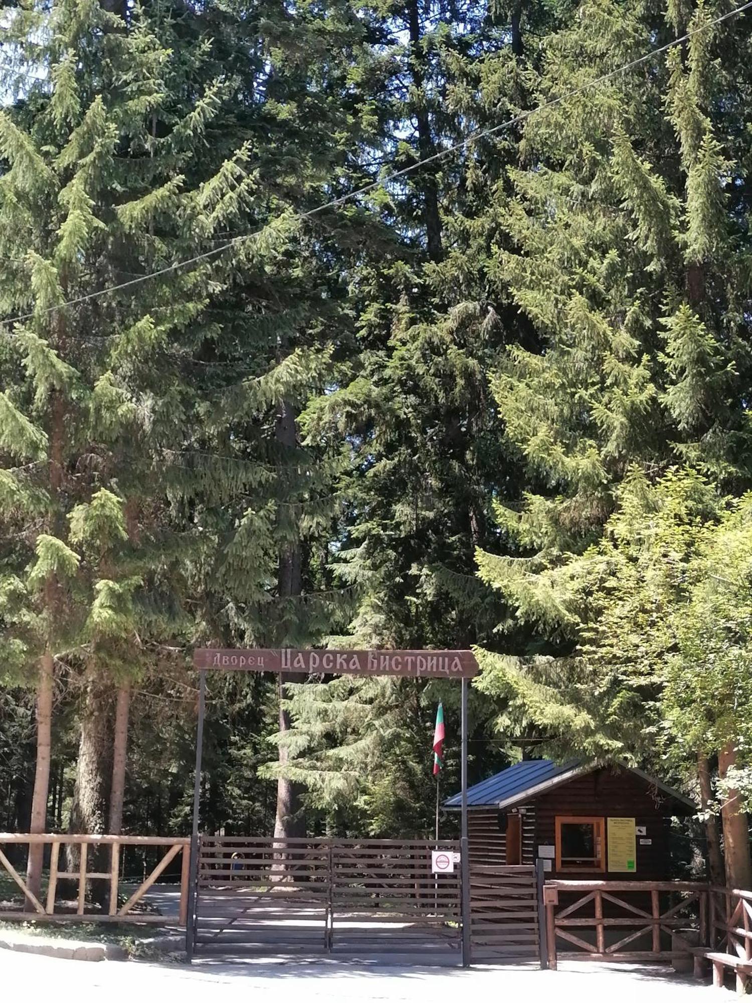Petkovi Аpartments, Borovets Gardens - One-Bedroom And Two-Bedroom Apartments Εξωτερικό φωτογραφία